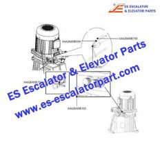 Escalator Parts XAA20400E703 Non Reversing Device