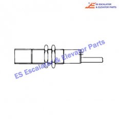 GAA608D1 Microswitches