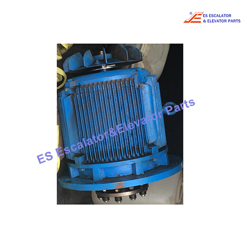 XAA20400G22 Escalator Three-Phase Motor  24 kW 380 V 960 r/min Use For Otis